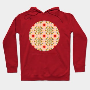 Groovy Carousel Mandala Hoodie